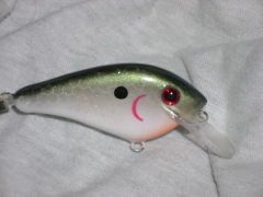 Is this a good Tennessee Shad??