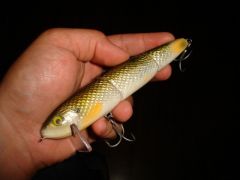 3 part balsa lure