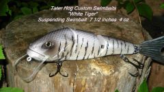 White Tiger on my Swimbait