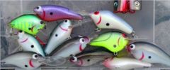 Various lures, Bagleys, Mine and 1 Poe