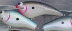 1 Shad Babe, 2 B-Flat Bagley repaints