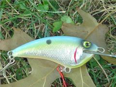 Shiny Shad, 3 inch