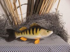 decoys for spearing