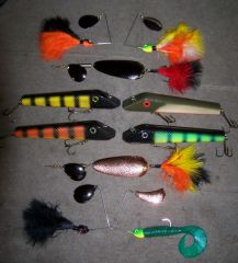 Jolly Esox 2006.