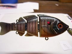 bluegill chief