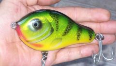 PERCH & BASS GLIDERS FOIL'D