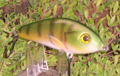 Salmo Fatso repaint in Perch