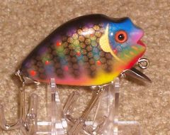 PUNKINSEED in BLUEGILL