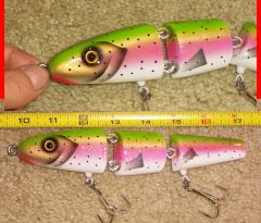 Jointed Rainbow Trout