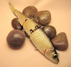 Golden Shiner Swimbait