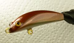 Copper jerkbait/glider