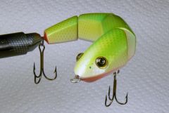 First Swim Bait- Green/ WhitePearl