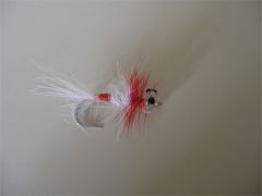 Red and White saltwater fly