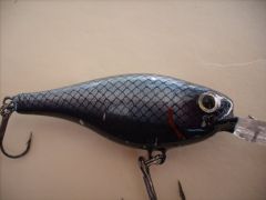 New Diamondback Shad