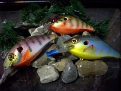 More PANFISH......!