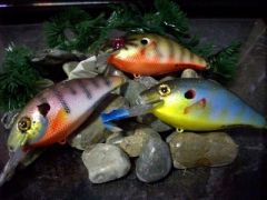 More PANFISH......!