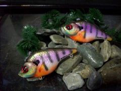 More PANFISH......!