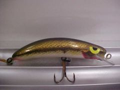 Bronze Bass