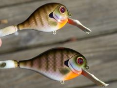 couple "a" bluegills