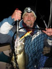 Lake Erie Walleye Night Fishing