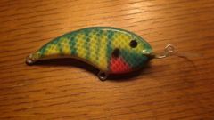 Sunshine Bluegill