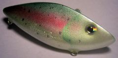 rainbow trout