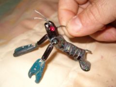 Blue claw craw