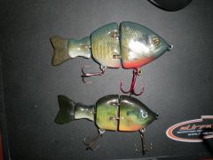 a couple swimbaits