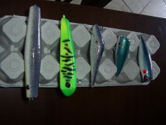 My fisrt few hardbaits