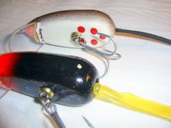 pike size "Robo-Mouse"