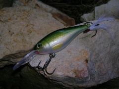 Lures from Week 2