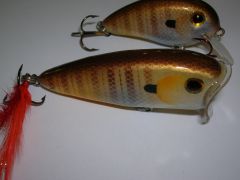 New Sunfish in basswood for Bass