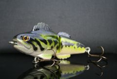 New swimbait