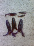 baits i poured with netcraft mold ( no injector)