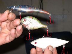 my first second and third baits...