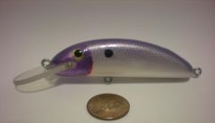 Purple Minnow