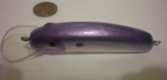 Purple Minnow