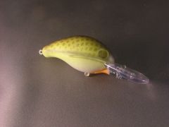 First painted crankbaits