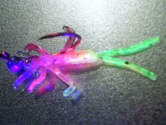 UV bug