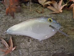 shad pattern