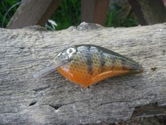 Gill pattern