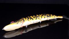 esox black tiger2