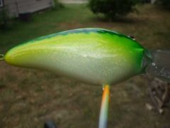 Lure babybass goldflake