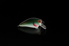 Copper Green Shad