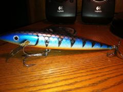 Rapala repaint