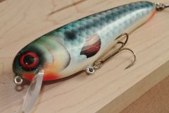 new crank bait proto aka "mr. Roach