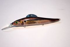 Threadfin Shad