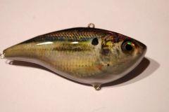 Foiled Photo Finish Threadfin Shad