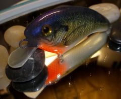 Custom Flatside Balsa Bluegill ( Photo Finished)