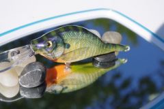 5th Carved Bait--Foiled Photofinish Bluegill